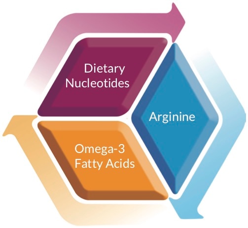 Unique blend of nutrients to support your recovery after surgery